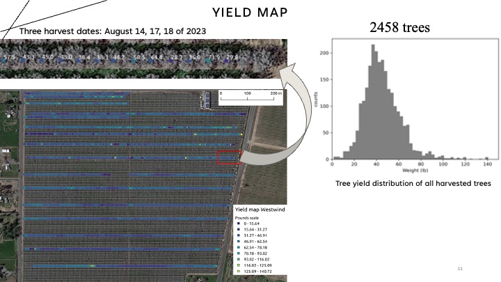 Almond yield monitor project slide 11